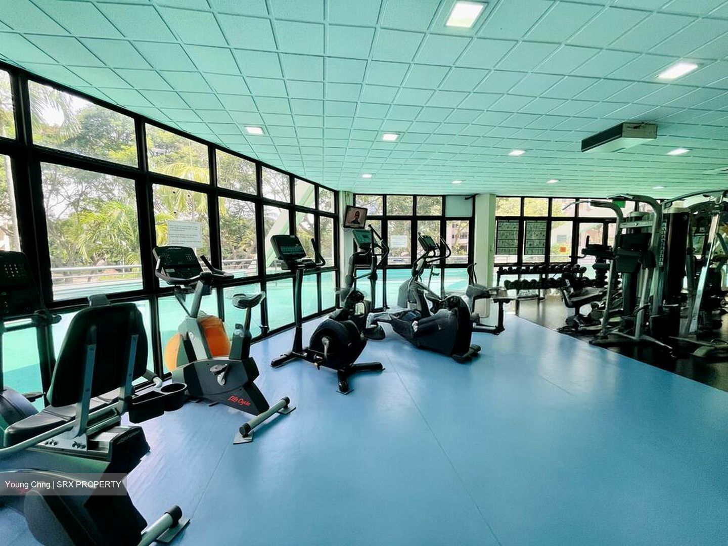 Bayshore Park (D16), Condominium #517992601